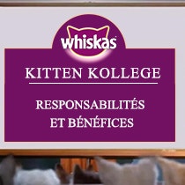 responsibilities and benefits