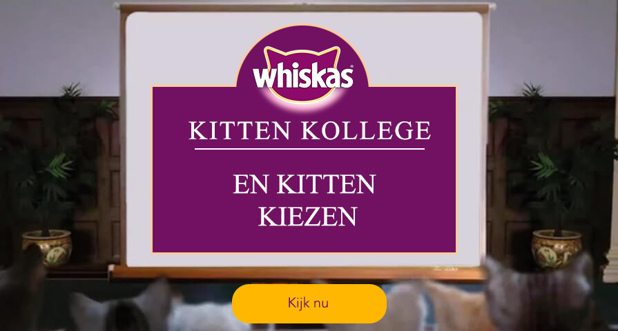 Kattebakke-træning